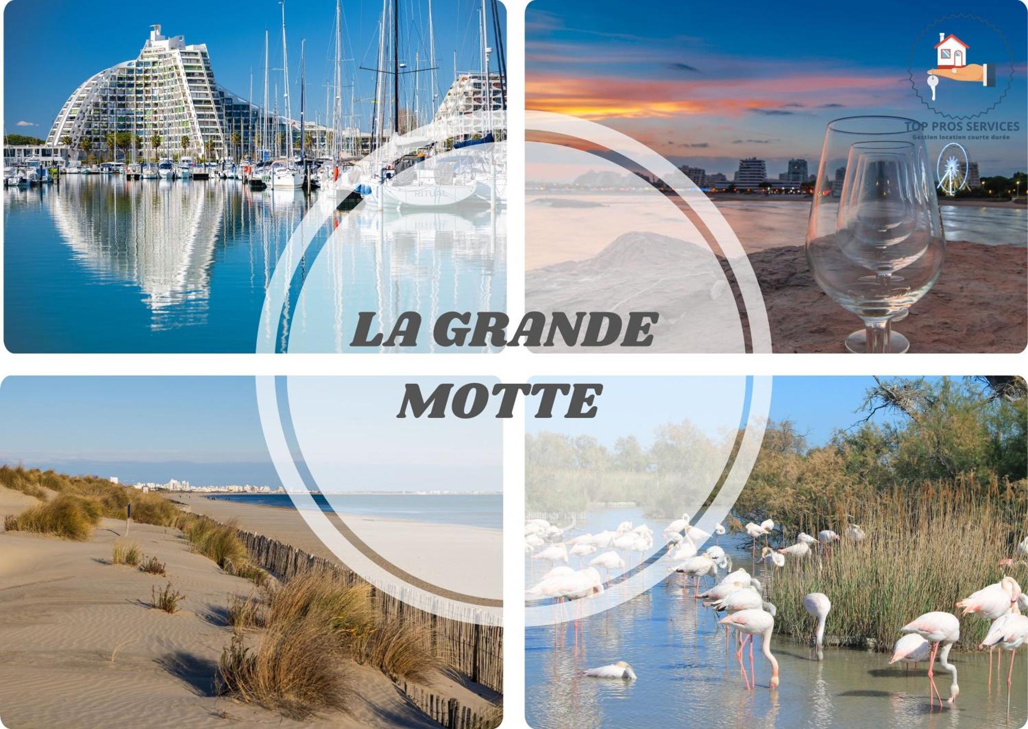 Le Cosy Wifi Clim Jardin Top Pros Servicesconciergerie Montpellier Bagian luar foto