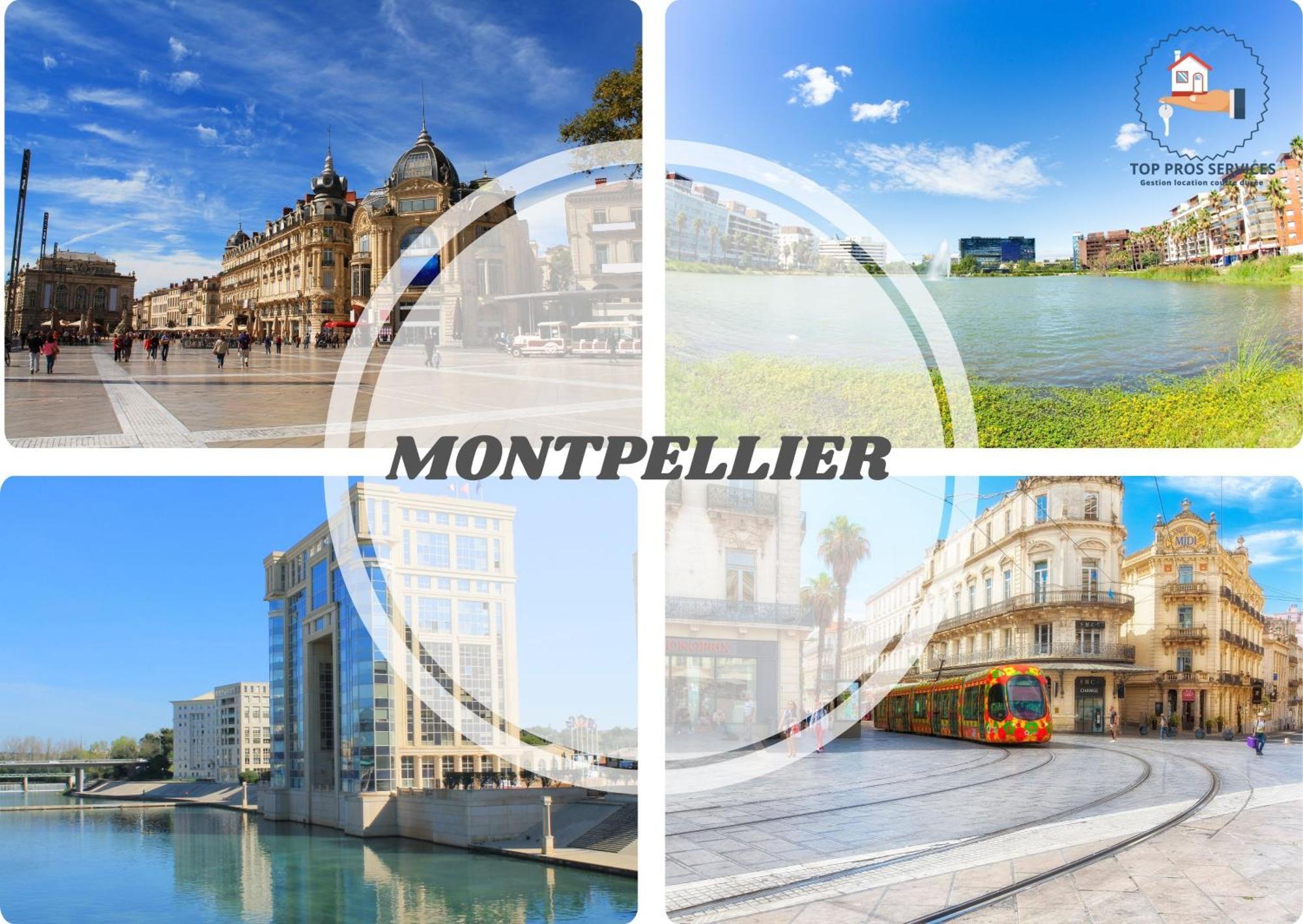 Le Cosy Wifi Clim Jardin Top Pros Servicesconciergerie Montpellier Bagian luar foto